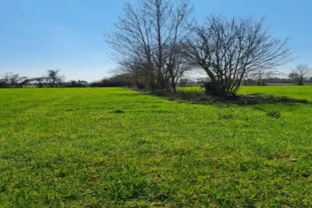 Orchidea, Agriturismo Toscane avec Piscine Vue - Photo 28