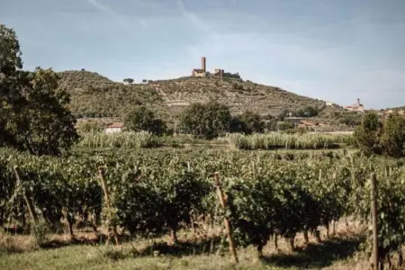 Orchidea, Agriturismo Toscane avec Piscine Vue - Photo 31
