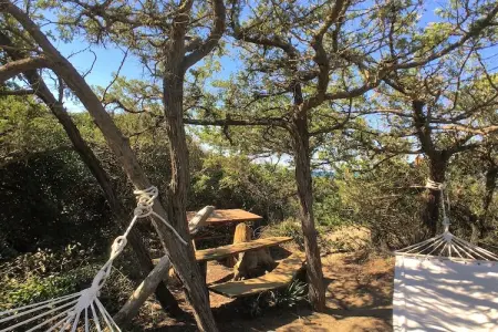 Quercia Dalia, Maison à Sassetta proche des plages - Photo 27