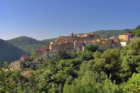 Sassetta Castagno, Retraite avec piscine et spa à flanc de colline - Photo 33