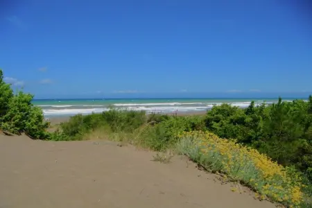 Pineta Azalea, Havre de paix près des plages toscanes - Photo 32