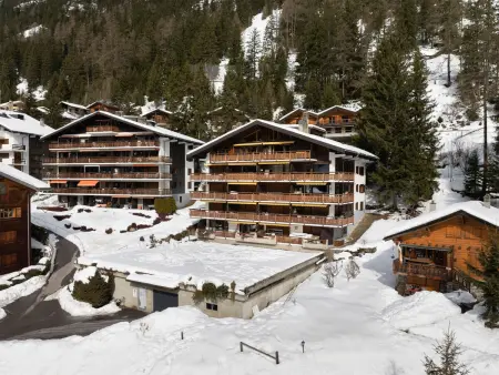 Parc C013, Appartement 4 personnes à Champex - Photo 38
