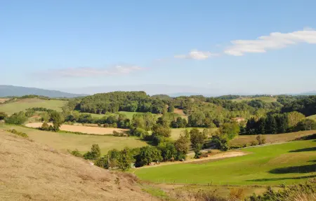 Location Maison 12 personnes à Marciano della Chiana - Photo 41