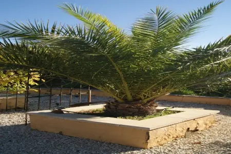 Casa Nido Cálido, Villa avec vue à Finestrat - Photo 10