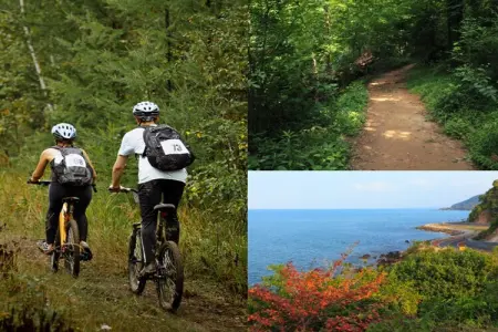 Villa Rosa- Luxury Singular, Maison 12 personnes à Padrón - Photo 35