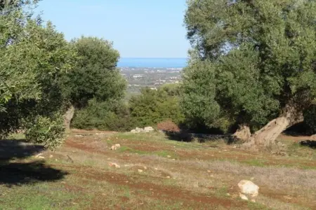 La Villa, Villa tranquille dans les Pouilles - Photo 37