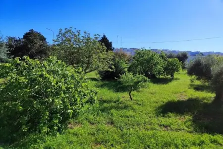 La Villa, Villa tranquille dans les Pouilles - Photo 38