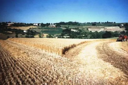 Campo Quattro, Séjour au bord de la piscine à Saint-Marin - Photo 23