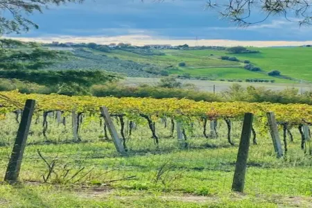 Sandro, Appartement à Coriano près des vignes & plages - Photo 22