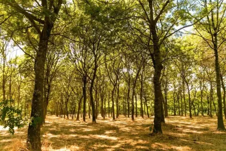 Fratello Campo, Appartement au milieu des vignes et du ciel bleu - Photo 30