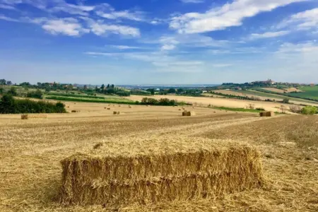 Fratello Campo, Appartement au milieu des vignes et du ciel bleu - Photo 31
