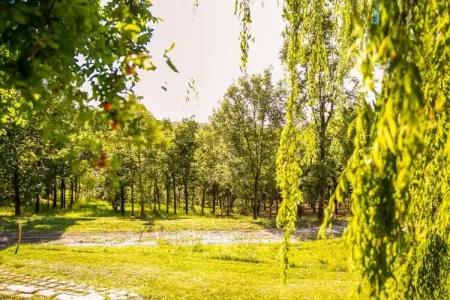 Fratello Campo, Appartement au milieu des vignes et du ciel bleu - Photo 33