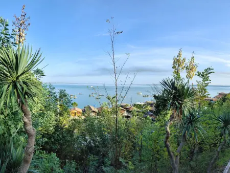 Villa 3 chambres avec jardin clos à Lège-Cap-Ferret - Photo 2