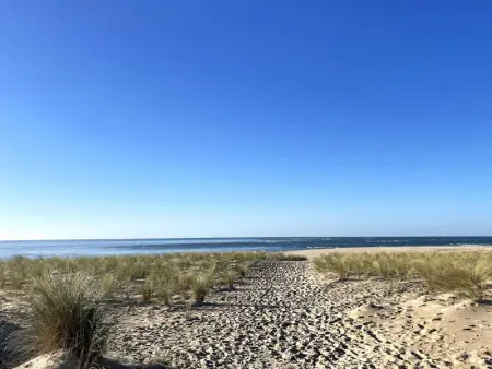 Villa 3 chambres avec jardin clos à Lège-Cap-Ferret - Photo 3