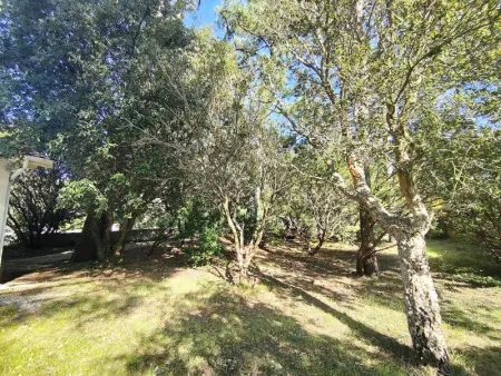 Villa 3 chambres avec jardin clos à Lège-Cap-Ferret - Photo 5