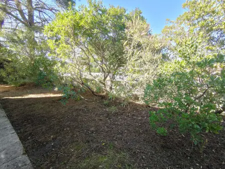 Villa 3 chambres avec jardin clos à Lège-Cap-Ferret - Photo 19