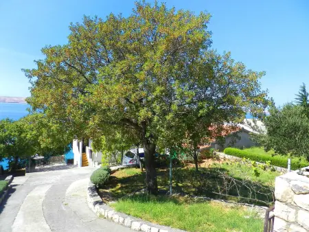 Renata, Appartement 4 personnes à Starigrad Paklenica - Photo 26