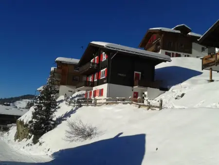 Bergrast OG Süd-West, Appartement 10 personnes à Bettmeralp - Photo 3