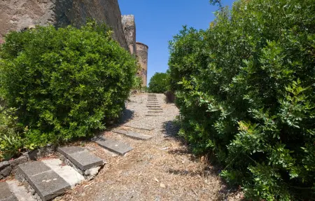 Location Appartement 3 personnes à Praia a Mare - Photo 13