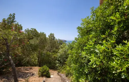 Location Appartement 3 personnes à Praia a Mare - Photo 15