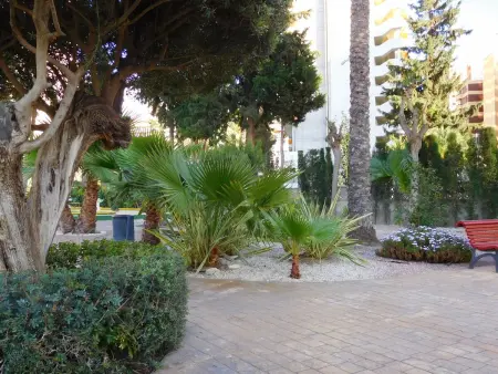 Los Gemelos, Appartement 4 personnes à Benidorm - Photo 20