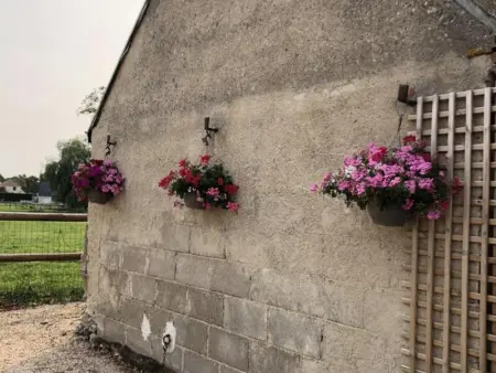 Gîte de charme pour 4 pers à Tour-en-Sologne, climatisé - Photo 17
