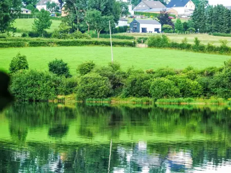 Au bord du Lac 2, Maison 4 personnes à Butgenbach Nidrum - Photo 13