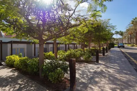 Blue Marlin 5, Maison 5 personnes à San Bartolomé de Tirajana - Photo 32