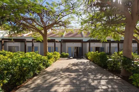 Blue Marlin 5, Maison 5 personnes à San Bartolomé de Tirajana - Photo 33