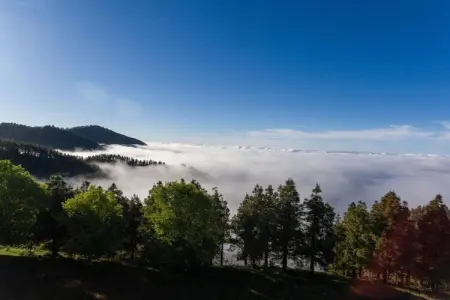 Casa Maspalomas, Maison 6 personnes à San Bartolomé de Tirajana - Photo 38