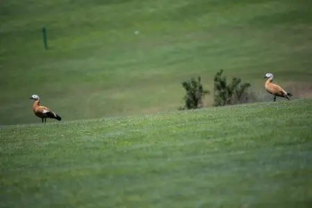 Isla, Chalet 6 personnes à San Bartolomé de Tirajana - Photo 25
