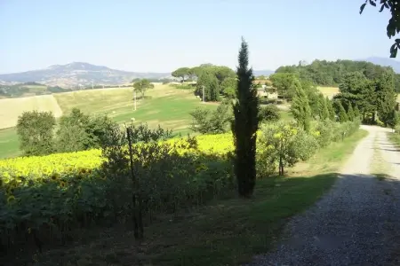 Gite 0 personnes à  - Photo 38