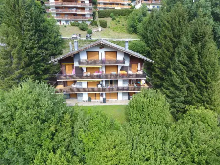 Jorasse A 1, Appartement 4 personnes à Ovronnaz - Photo 18
