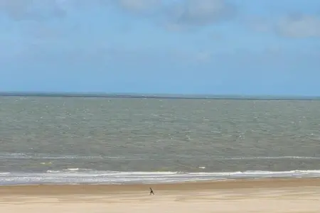 Residence Ramses-44, Appartement 4 personnes à KNOKKE HEIST - Photo 29