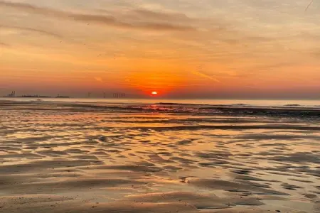 Residence Alto De Mar-34, Appartement 2 personnes à KNOKKE HEIST - Photo 33