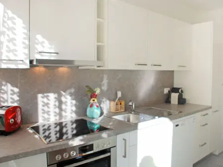 App. Paradiso, Appartement 6 personnes à Lugano - Photo 15