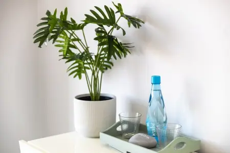 Casa Milhafre - Apartment overlooking Benagil Beac - Photo 19