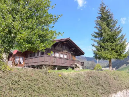 Chalet Träumli, Maison 3 personnes à Habkern - Photo 21
