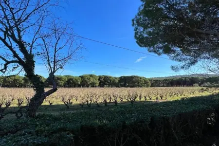 Villa petit Castellane  version 6 pers, Villa à Gassin proche plages Saint-Tropez - Photo 36