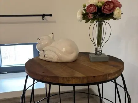 Grand gîte au calme avec jardin et animaux acceptés - Photo 12