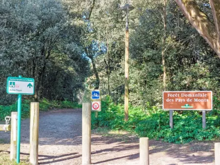 Proche Océan, forêt et commerces, Maison 4 personnes à Fromentine - Photo 22