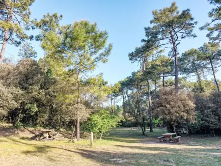 Proche Océan, forêt et commerces, Maison 4 personnes à Fromentine - Photo 23