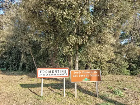 Proche Océan, forêt et commerces, Maison 4 personnes à Fromentine - Photo 24