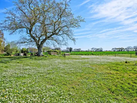 Les Châtaigners, Maison 2 personnes à Etables sur Mer - Photo 20