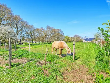Les Châtaigners, Maison 2 personnes à Etables sur Mer - Photo 22