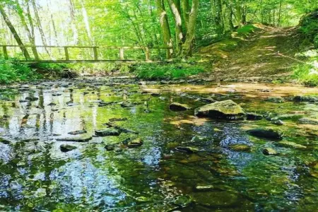 Verblijfpark Ardinam 2, Chalet 4 personnes à Olloy sur Viroin - Photo 28