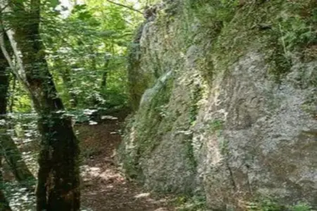 Verblijfpark Ardinam 3, Chalet 6 personnes à Olloy sur Viroin - Photo 31