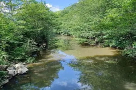 Verblijfpark Ardinam 3, Chalet 6 personnes à Olloy sur Viroin - Photo 39