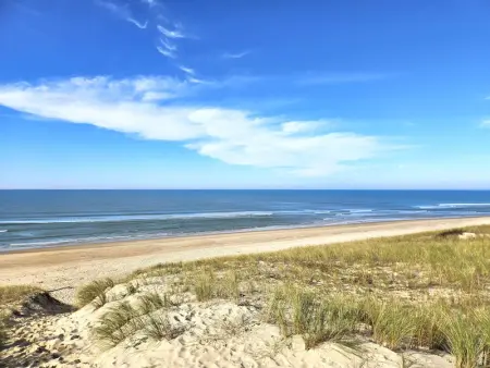 Villa plain-pied avec piscine et jardin arboré à Lège-Cap-Ferret - Photo 4