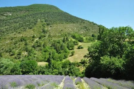 Villa Belle Suzette, Villa à Malaucène près du Mont Ventoux - Photo 22